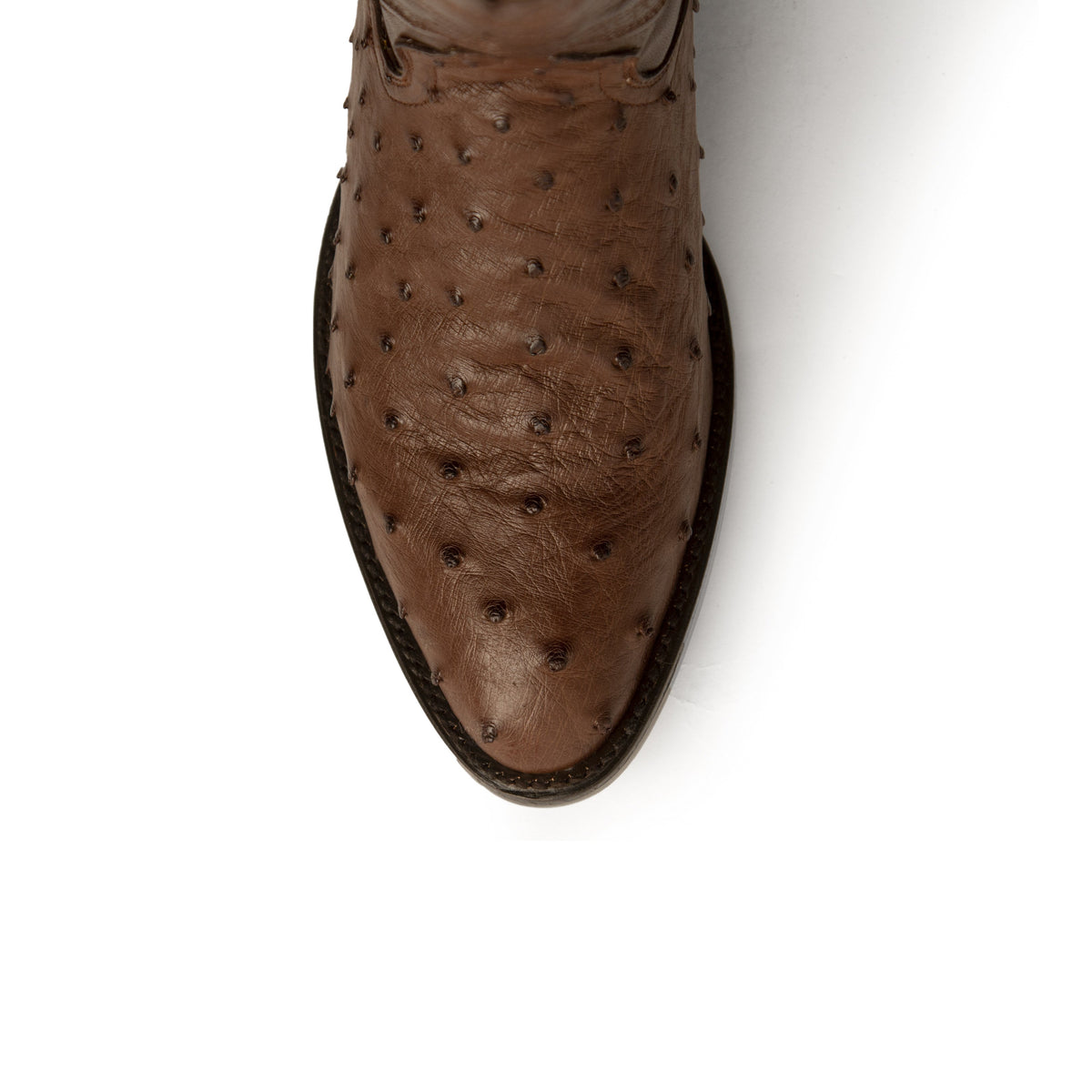 Ferrini Colt - Men's Full Quill Ostrich