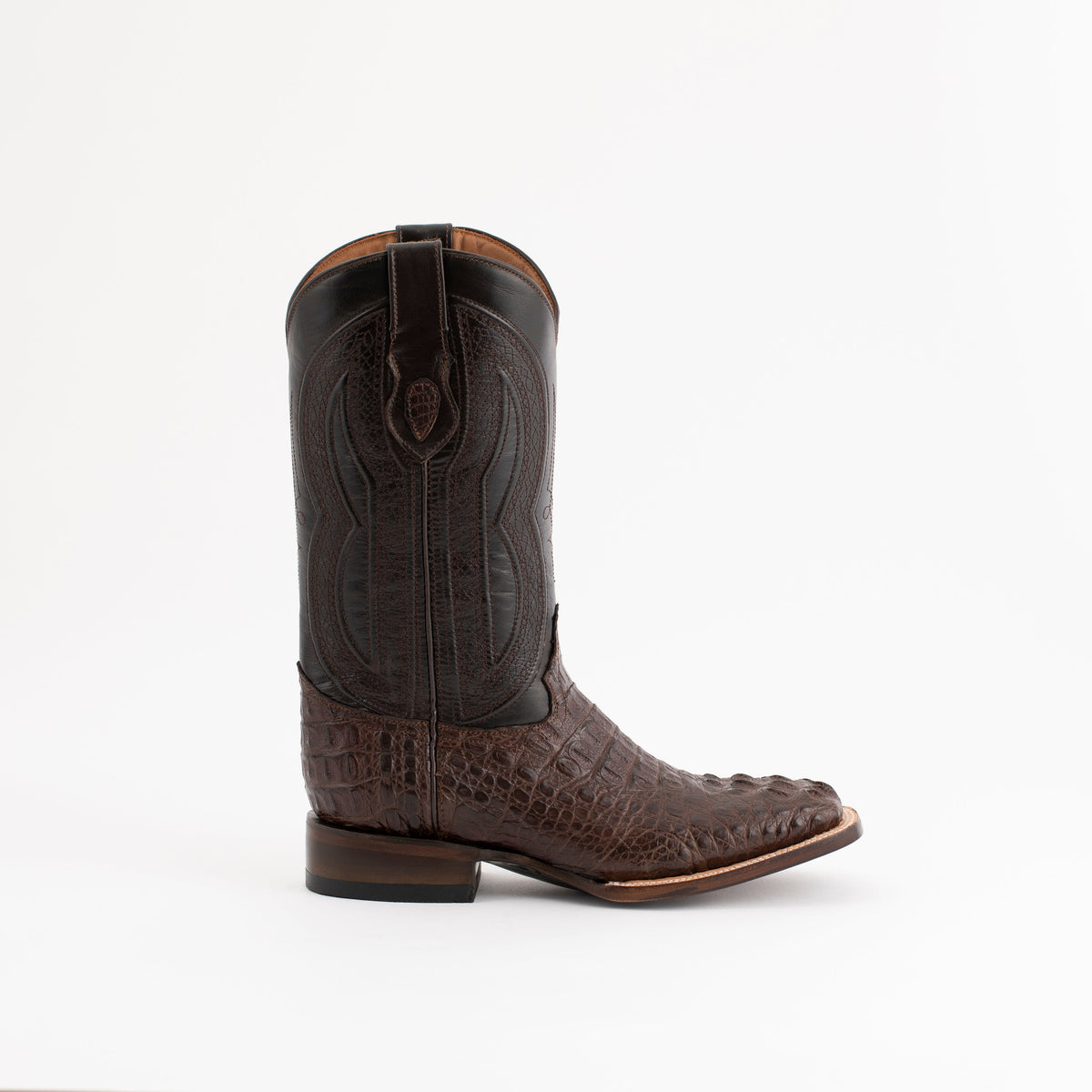 Ferrini Hornback Caiman Dakota