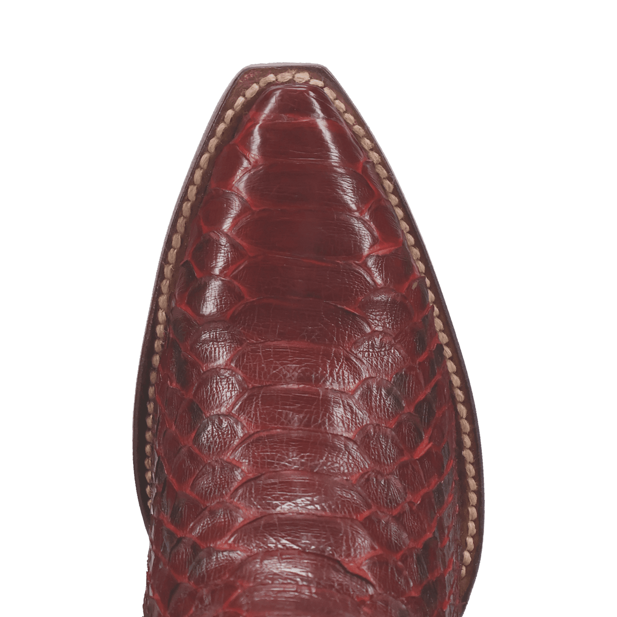 CALVERA PYTHON BOOT