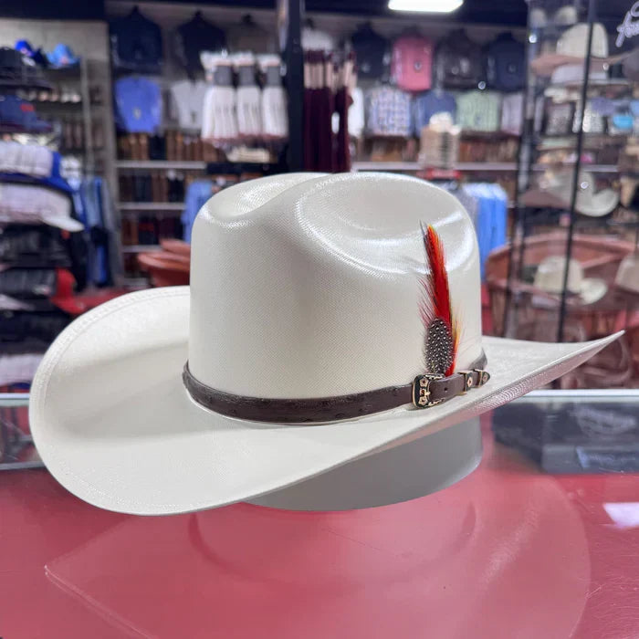 Sombrero Genuine Ostrich 10,000x Cowboy Hat