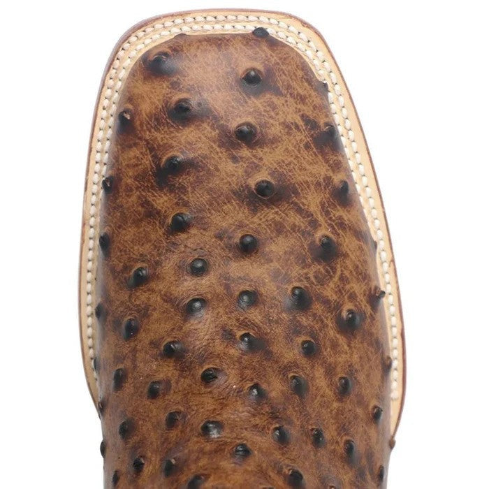 Zapato BotÃn Piel Avestruz - Mens Ostrich Boot in 3 Colors