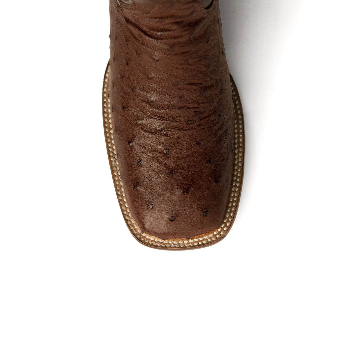 Ferrini Colt - Men's Full Quill Ostrich