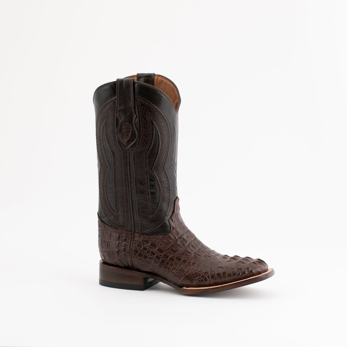 Ferrini Hornback Caiman Dakota