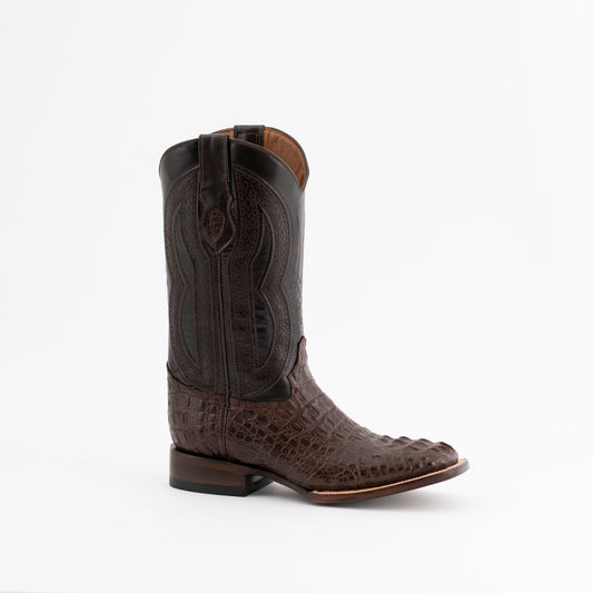 Ferrini Hornback Caiman Dakota