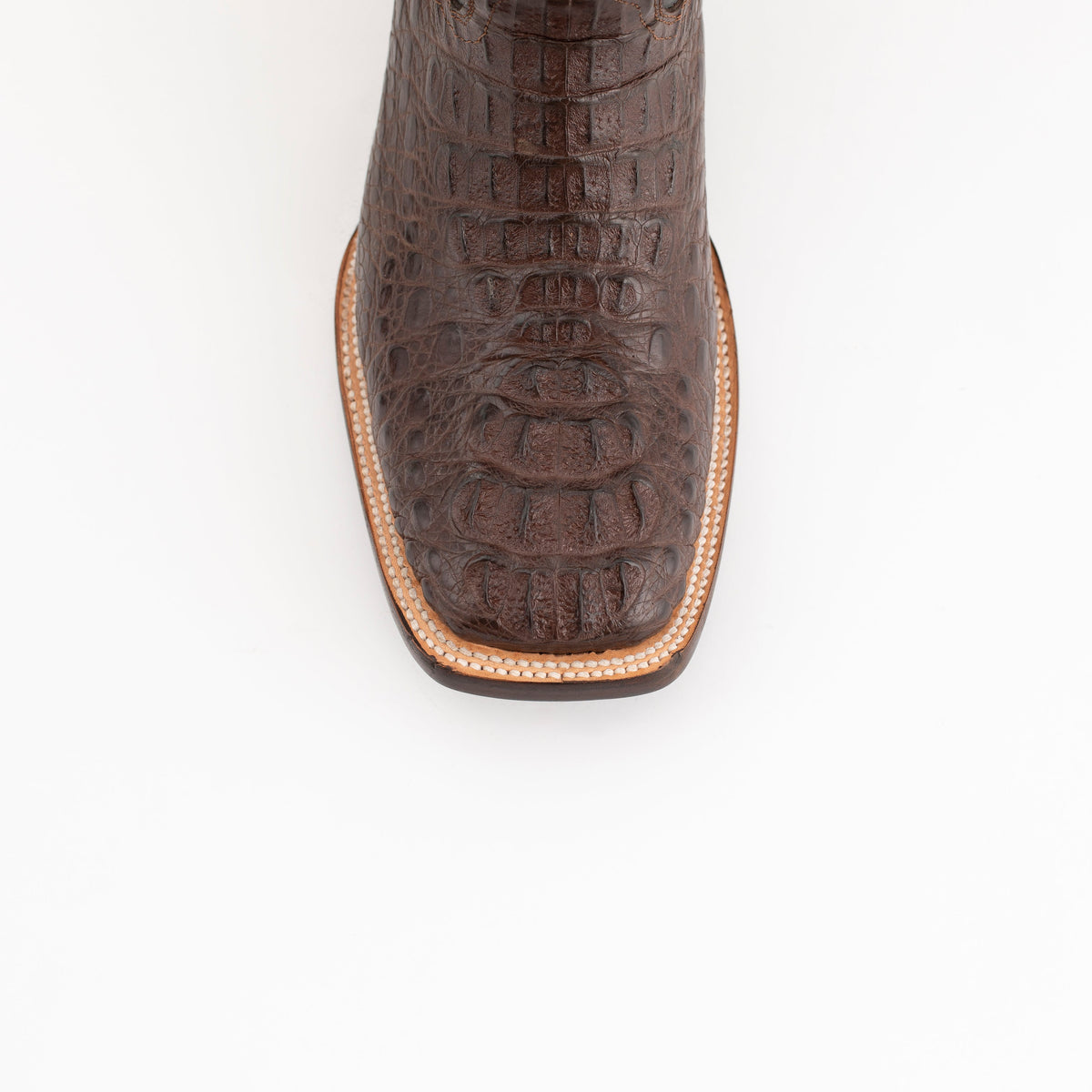 Ferrini Hornback Caiman Dakota