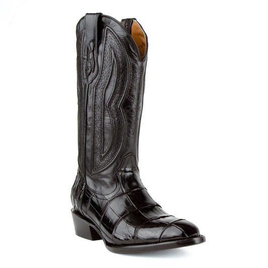 Ferrini Stallion - American Alligator