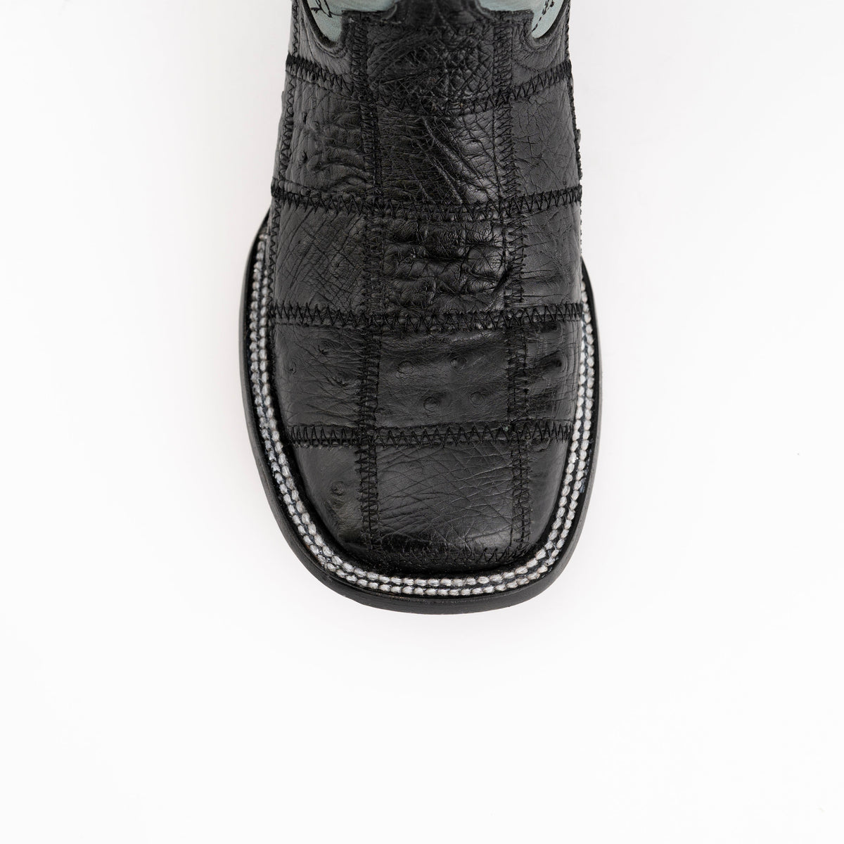 Ferrini Pinto - Patch Ostrich