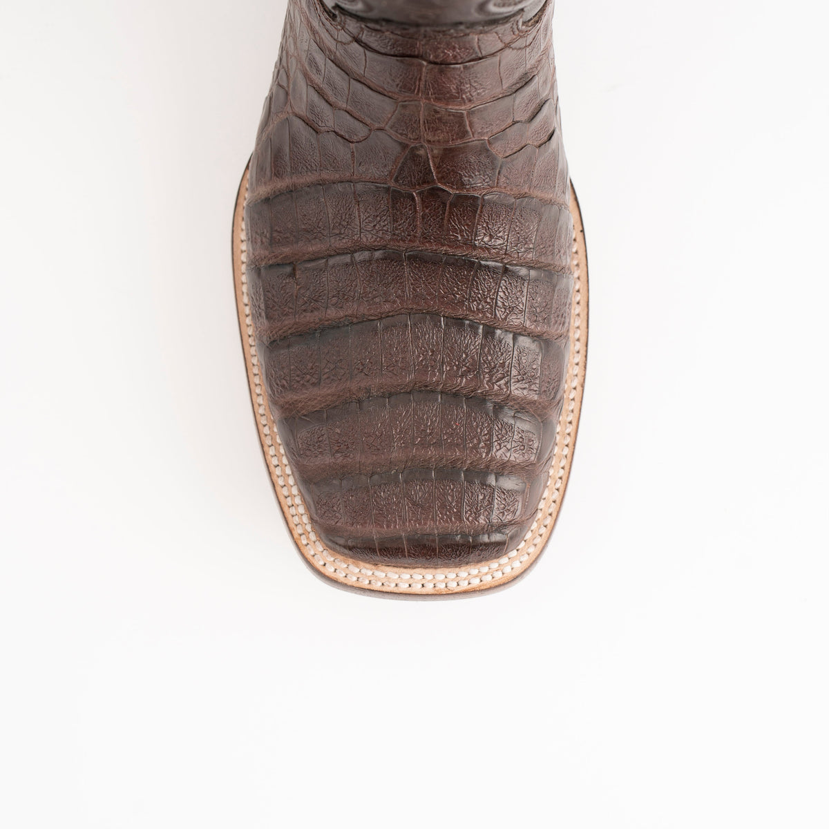 Ferrini Belly Caiman Dakota