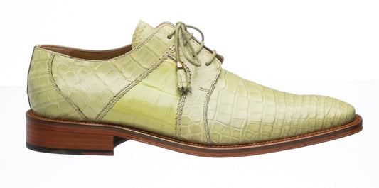 Ferrini Belly Alligator 205