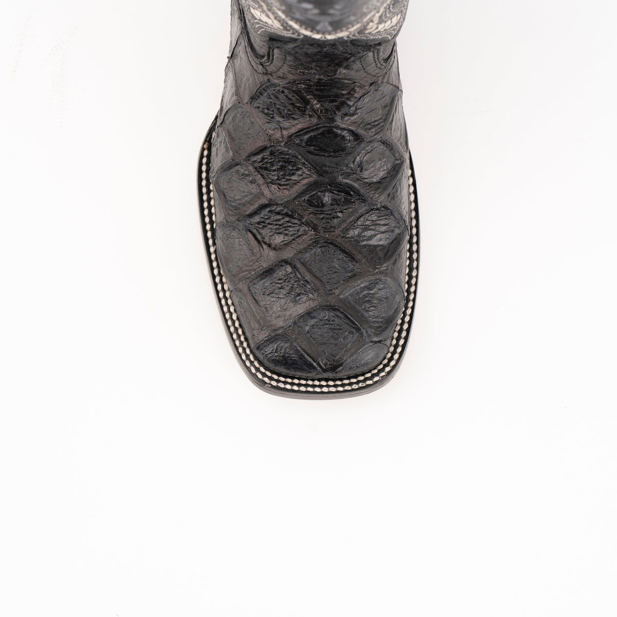 Ferrini Bronco