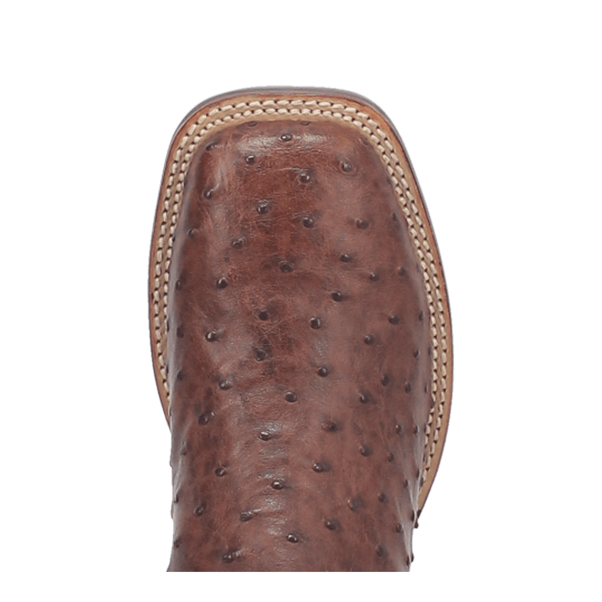 ALAMOSA FULL QUILL OSTRICH BOOT