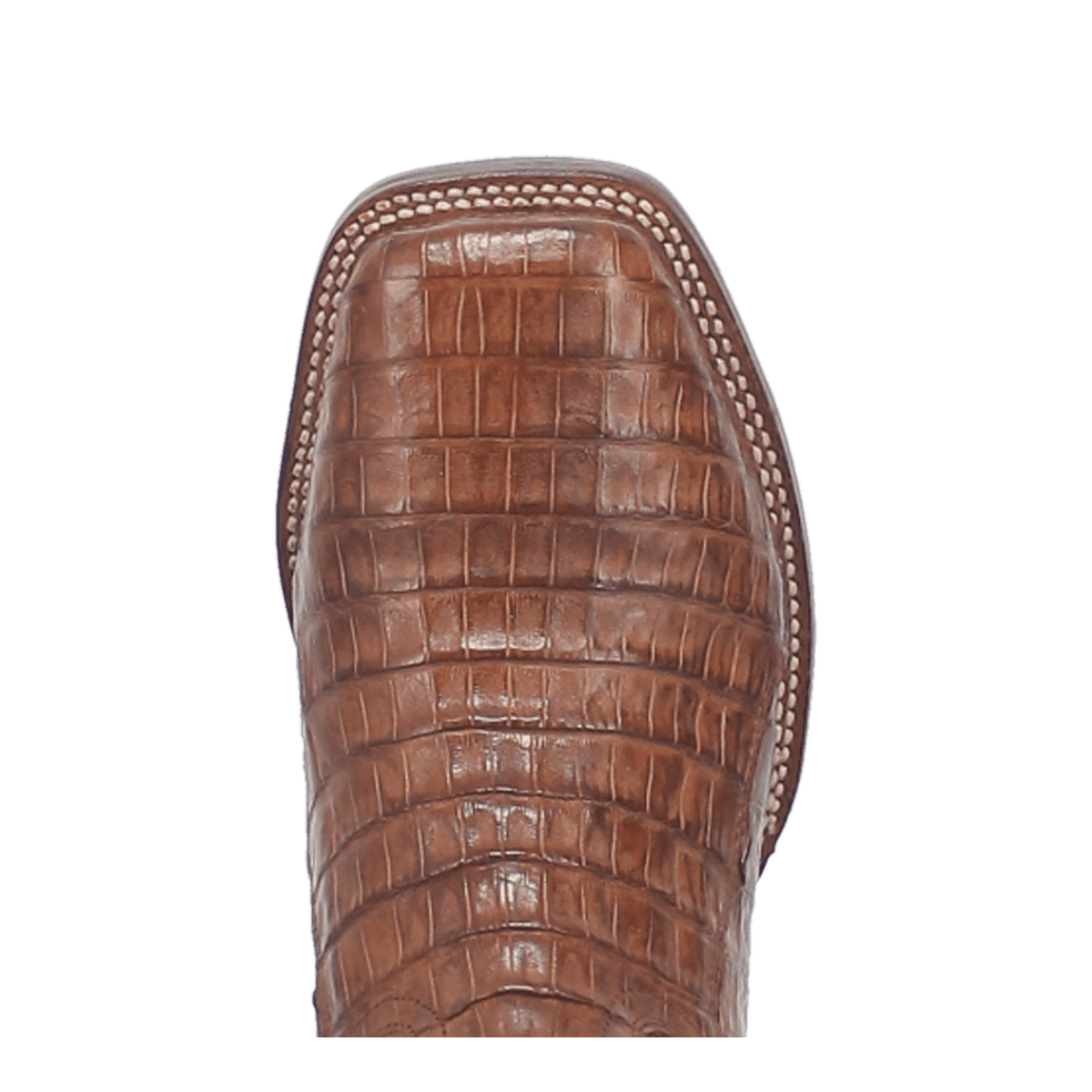 KINGSLY CAIMAN BOOT