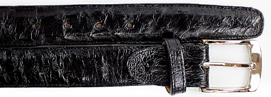 Belvedere Ostrich Quill Belt- Black